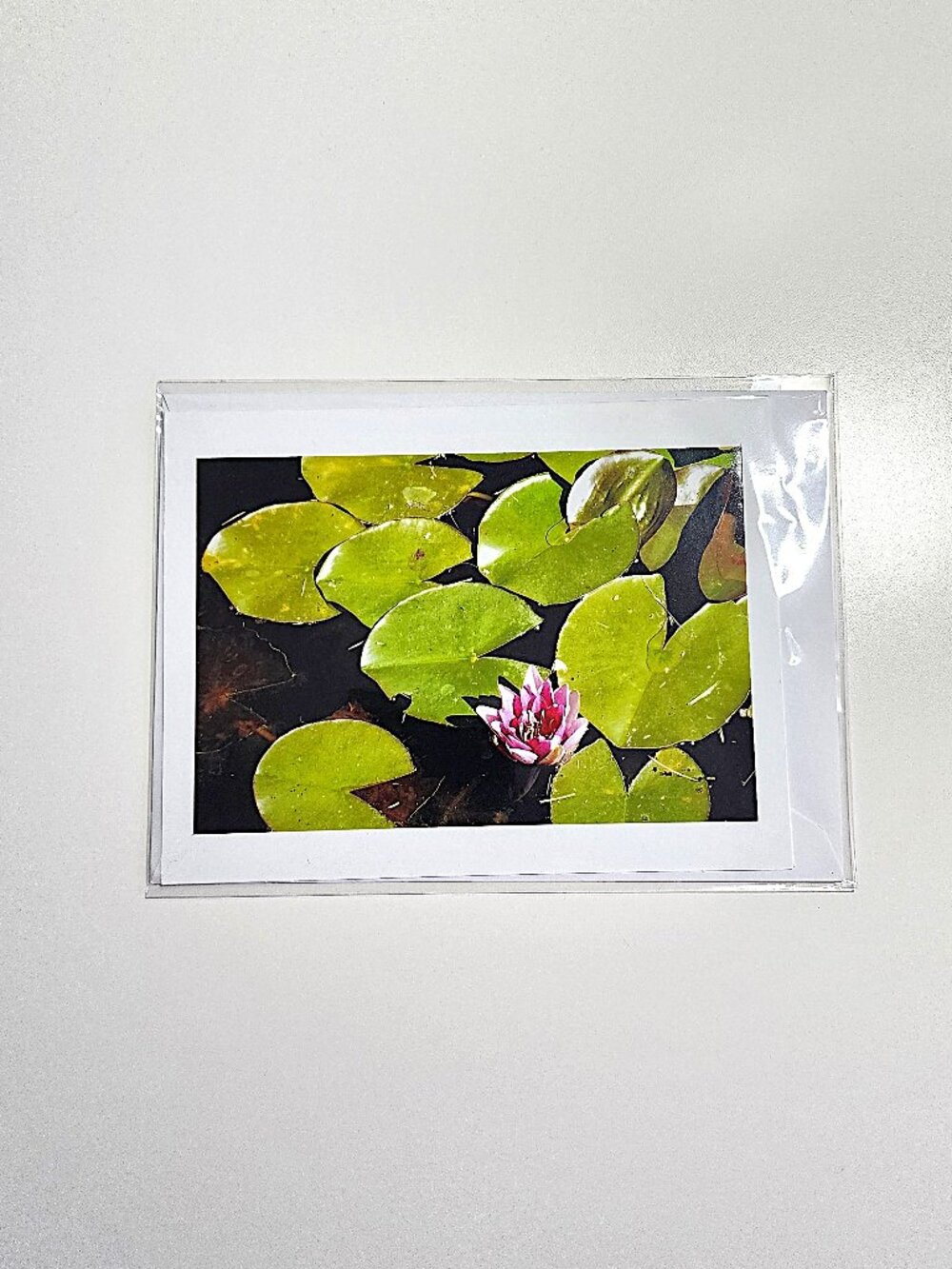 Floral photo greeting cards - Picture 3 of 7